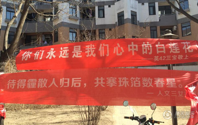 文章配图
