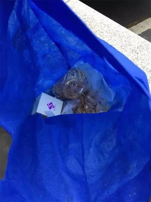 24岁美女竟是黄金大盗 曾将赃物藏警车车底(组图)