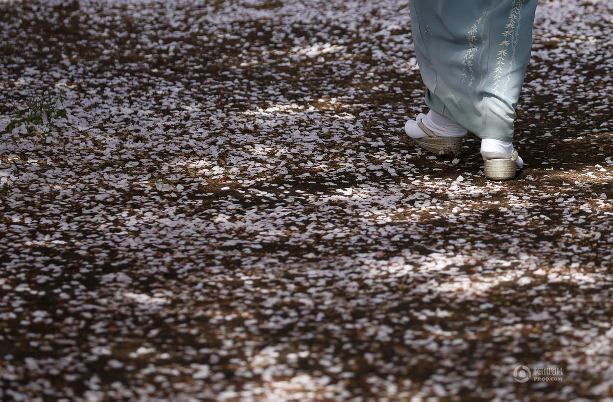 安倍参加赏樱大会 与日本美少女偶像组合合影(图)