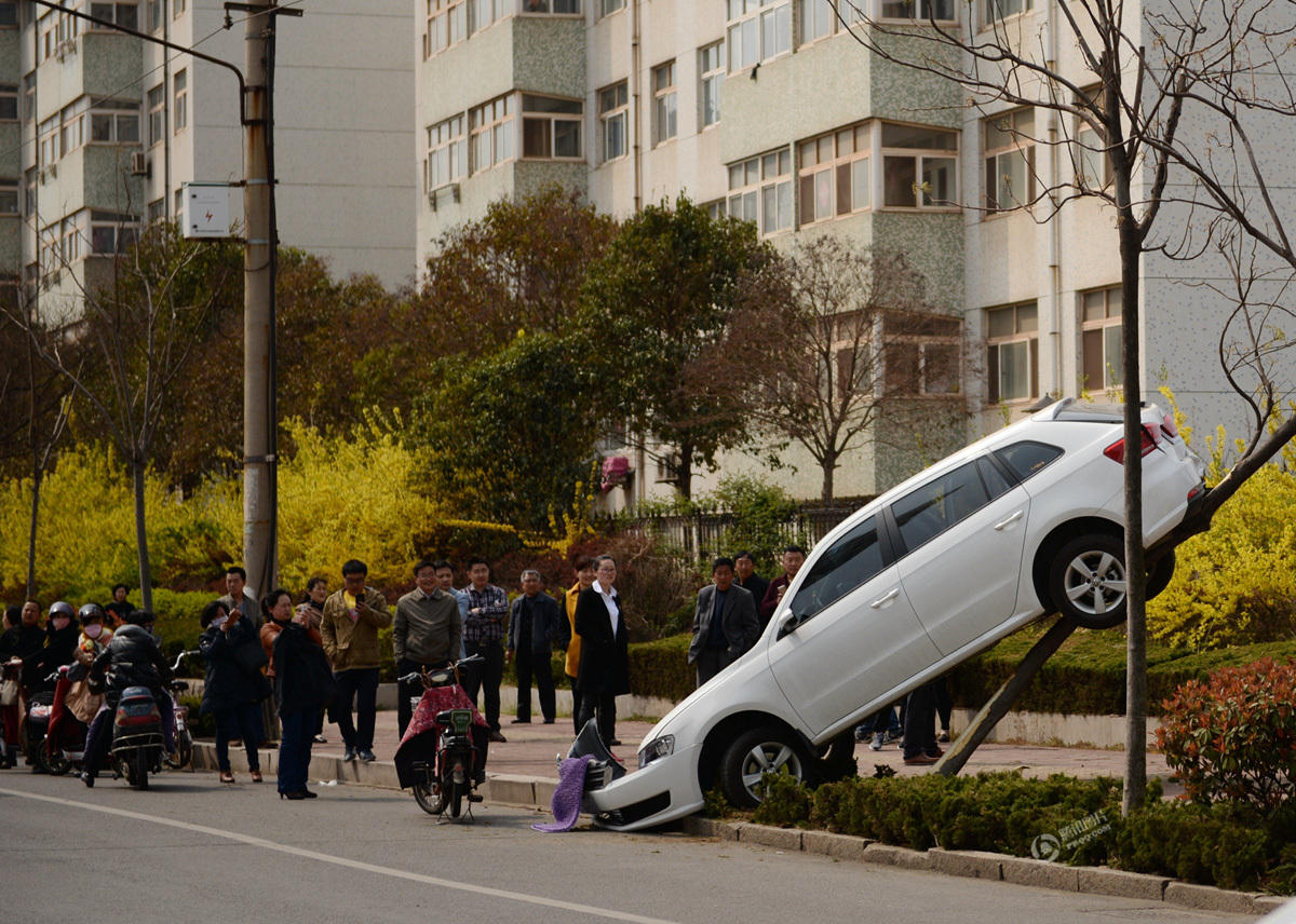 女司机把油门当刹车 撞完电动车又倒车爬上树(图)