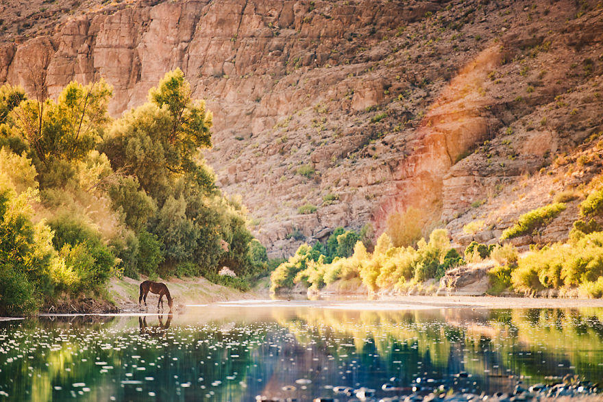 收入证明_风光摄影师的收入