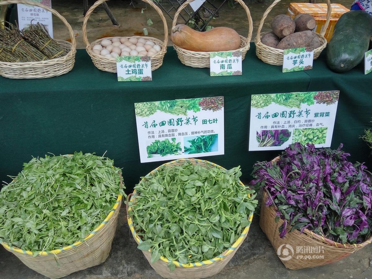 深圳美女穿上&quot;野菜装&quot; 上街巡游引围观(高清组图)