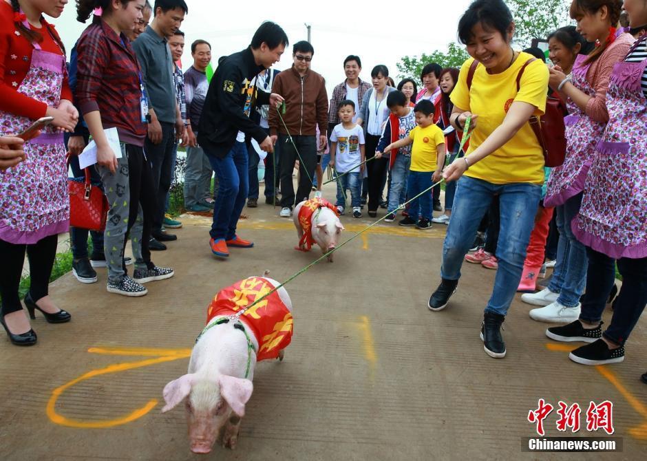 高清:湖南农村趣味运动会 比基尼美女PK村姑