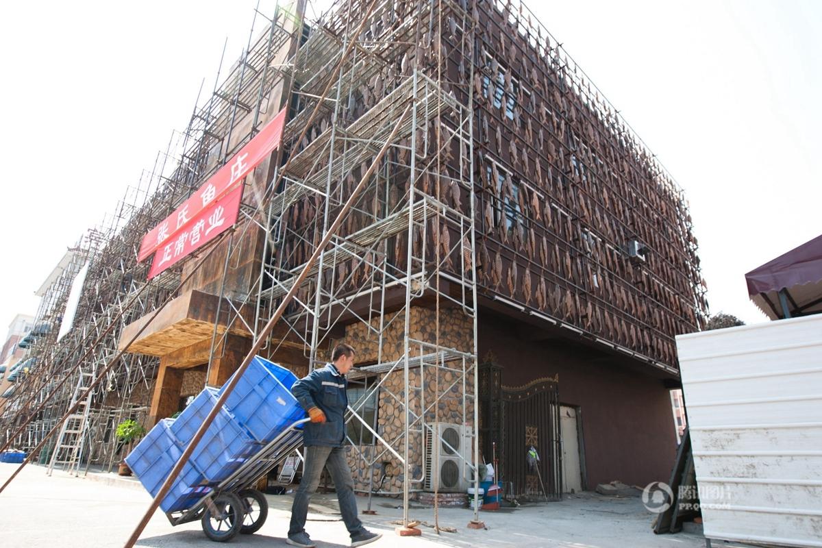 长春一饭店5万条“鱼”挂上墙 遭市民吐槽(组图)