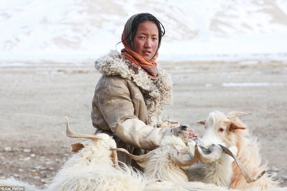 雪山脚下的游牧&quot;流浪者&quot; 与世隔绝靠换物而活(图)