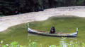  Black bear paddles over the canoe, which makes people laugh