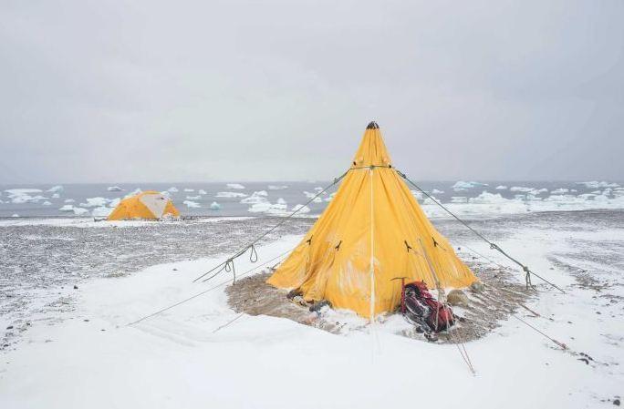 科学家在南极发现7100万年前恐龙化石和遗迹(图)