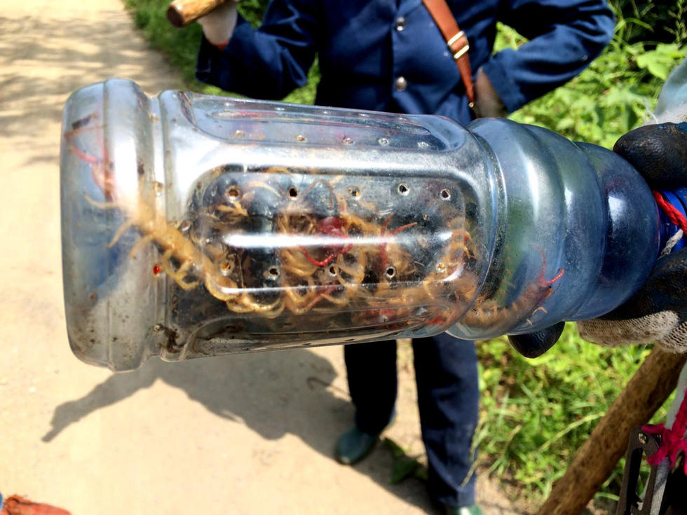 家庭收入分配图_农民家庭收入来源(3)