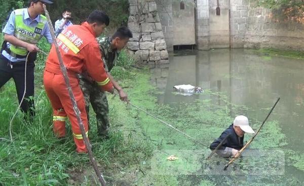成武县有多少人口_成武县蓝水湾图片