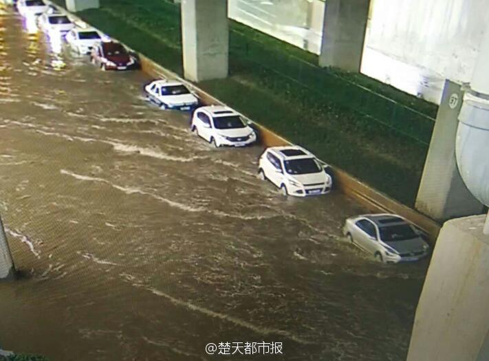 暴雨怒袭武汉！看海模式已开启 (高清组图)