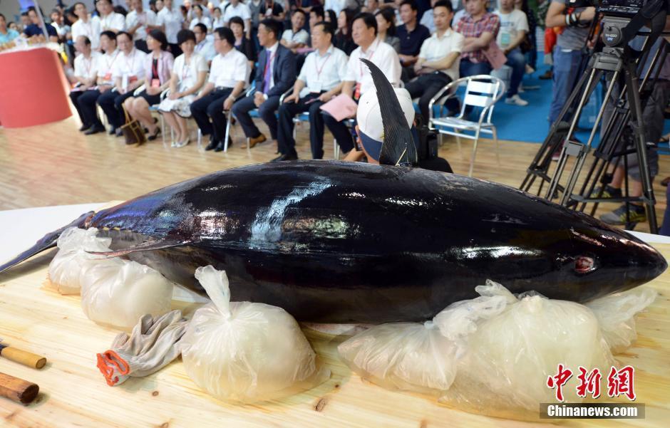 重200斤蓝鳍金枪鱼亮相福州“渔博会”(高清组图)