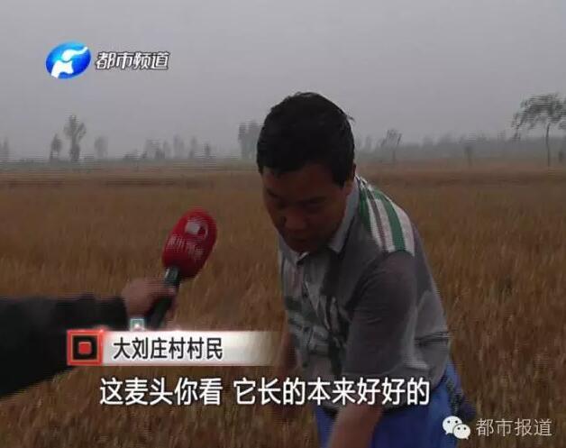 洪洲村人口_绯村剑心真人