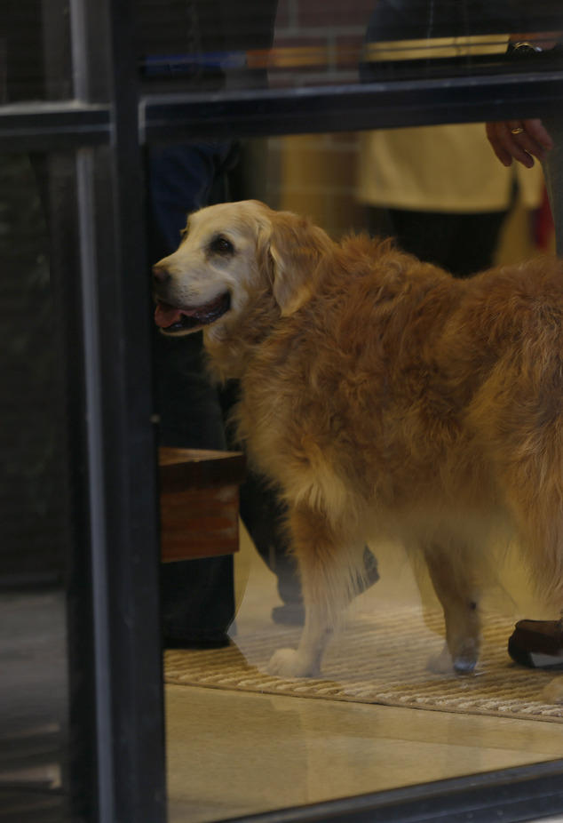 9·11 事件最后一只搜救犬被安乐死 警员列队敬礼