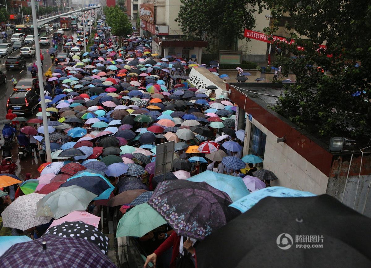 郑州上百家长候考 撑起“雨伞阵”场面壮观(组图)