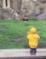  Boys' Zoo Watching Lions