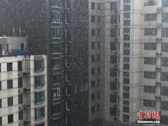 北京迎阵雨天气电闪雷声 局地现冰雹(高清组图)