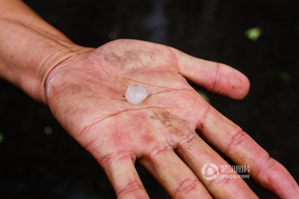 北京迎阵雨天气电闪雷声 局地现冰雹(高清组图)