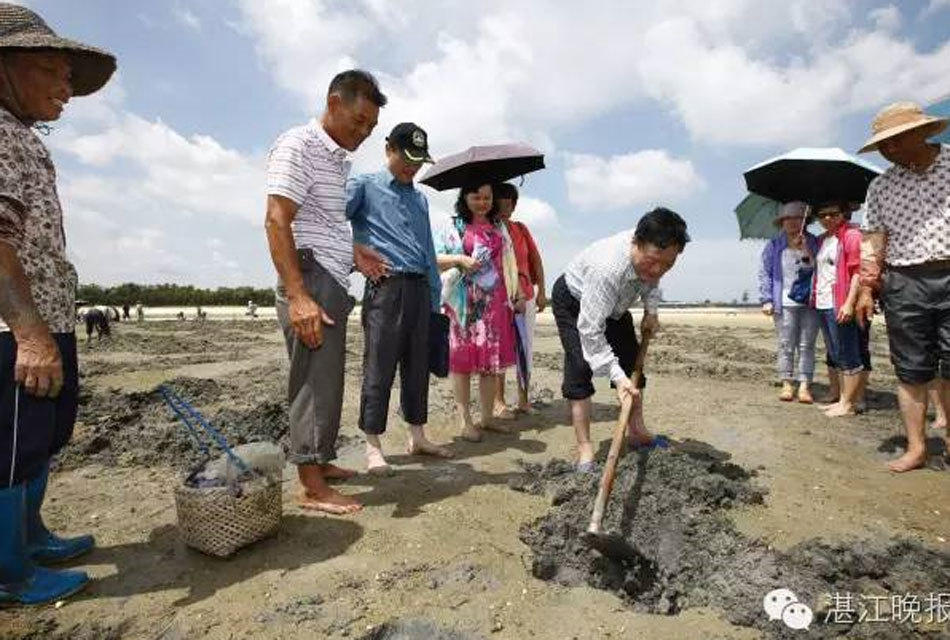 广东湛江一农妇以挖虫为生 1个月赚三五千(组图)