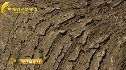 16415673_980x1200_0.png