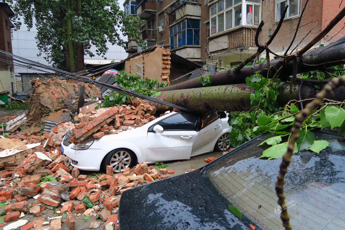 郑州遭暴风雷电袭击 大树被吹倒砸毁私家(高清图)