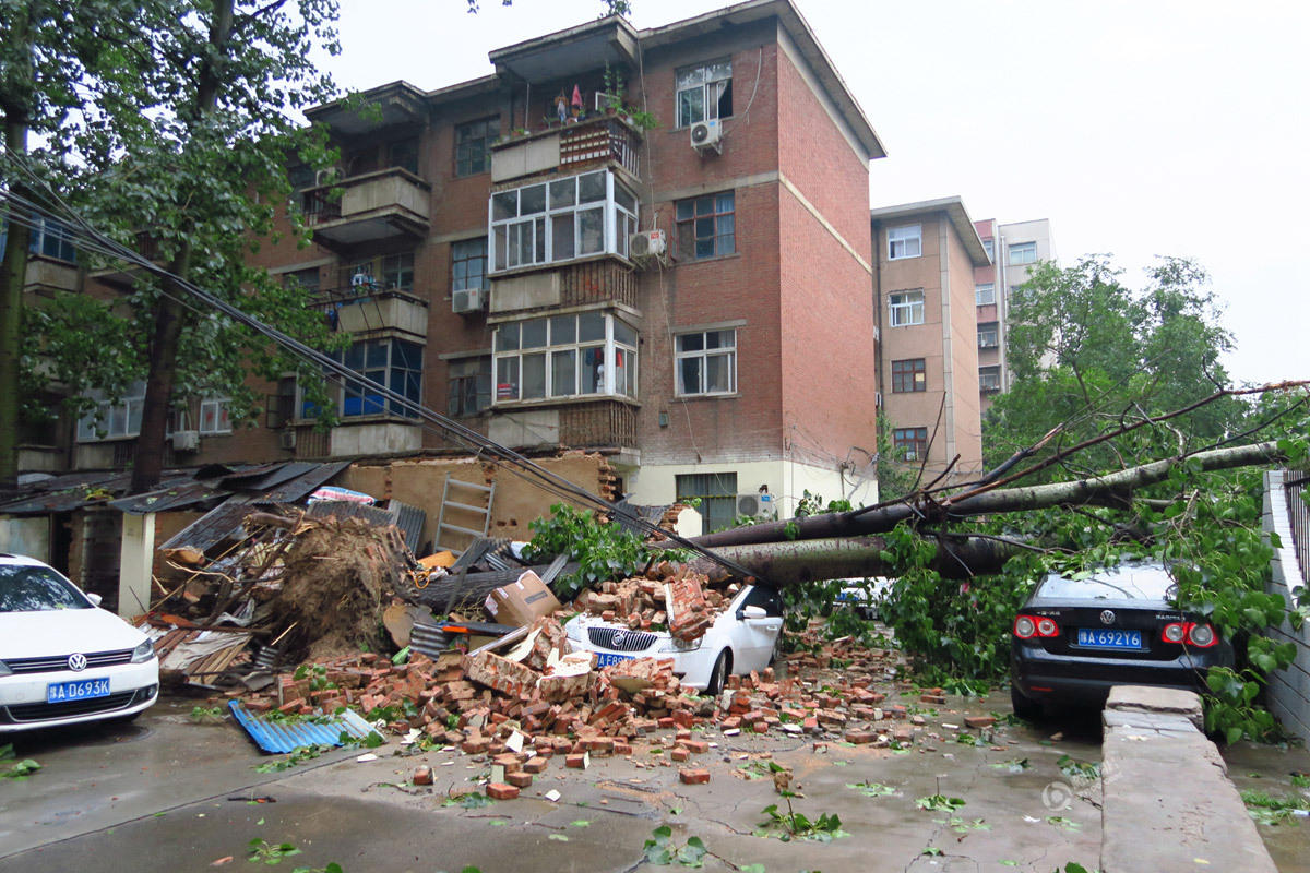 郑州遭暴风雷电袭击 大树被吹倒砸毁私家(高清图)