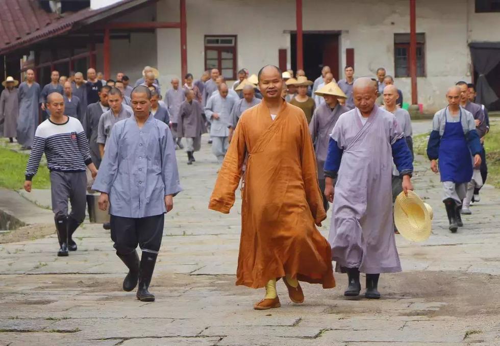 农禅并重——云居山真如禅寺大众出普坡插秧_儒佛