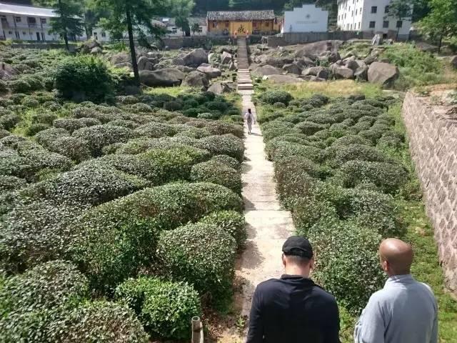 新都皇恩寺婚纱_成都皇恩寺陵园地址(3)