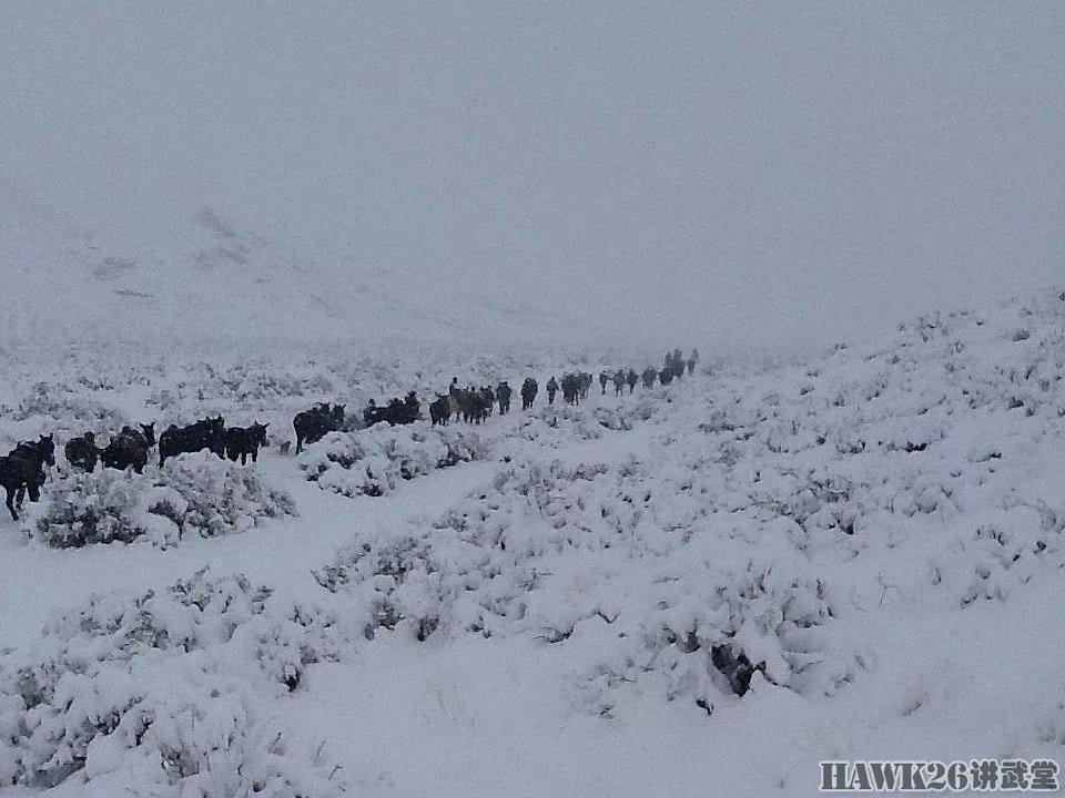 组图:六月飞雪 阿根廷山地炮兵冬季作战演习