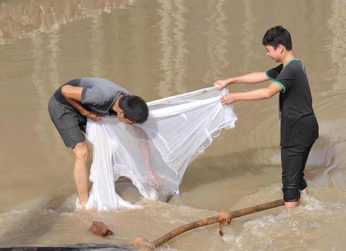 暴雨后市民蜂拥下河抓鱼 覆网、蚊帐都用上了(图)