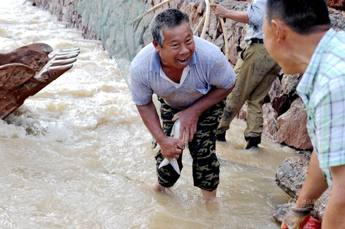 暴雨后市民蜂拥下河抓鱼 覆网、蚊帐都用上了(图)