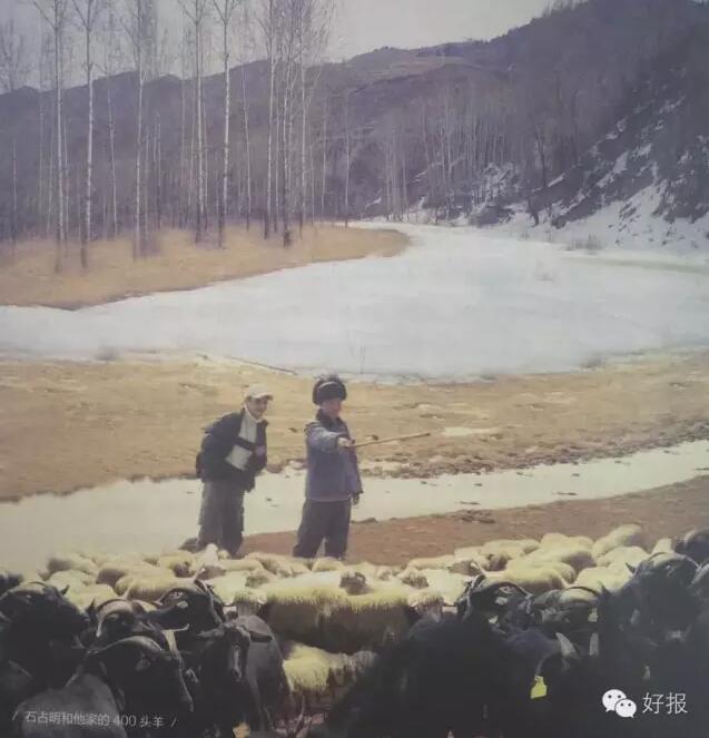 文章配图