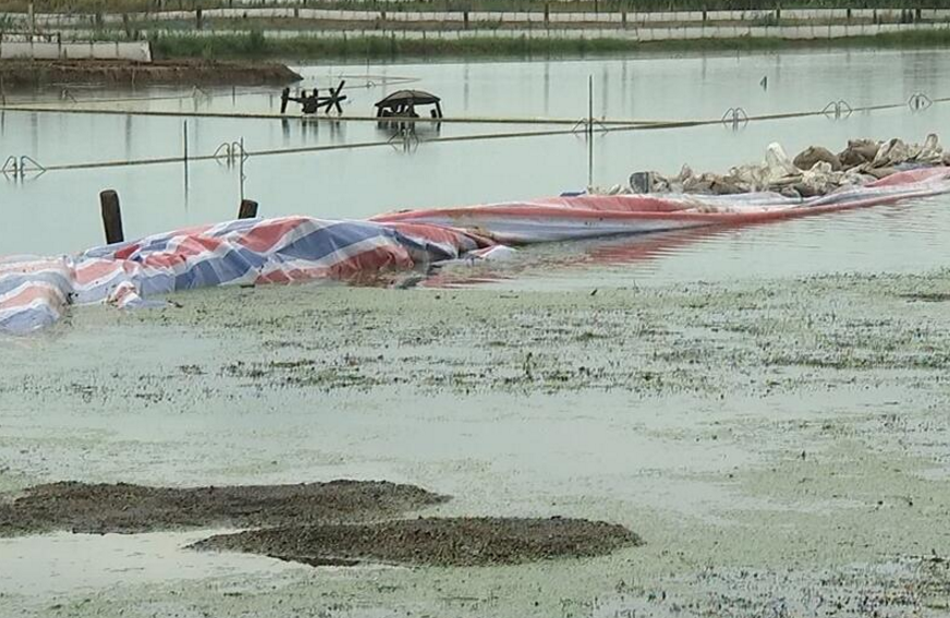 宜兴高塍圩堤垮塌 武警官兵全力抢险