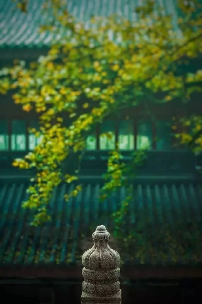 南朝四百八十寺 多少楼台烟雨中