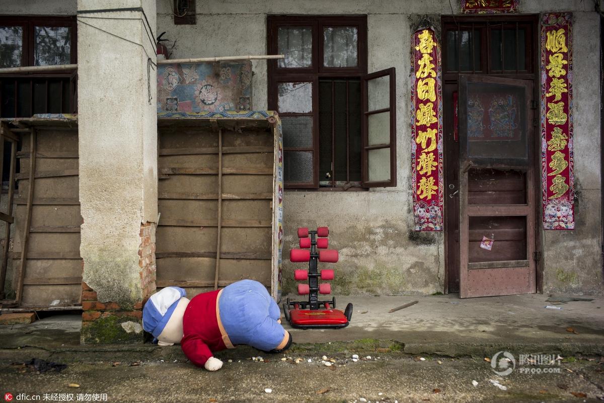 武汉搬迁现场现"忠鸡" 呆在主人家前久不离开(图)