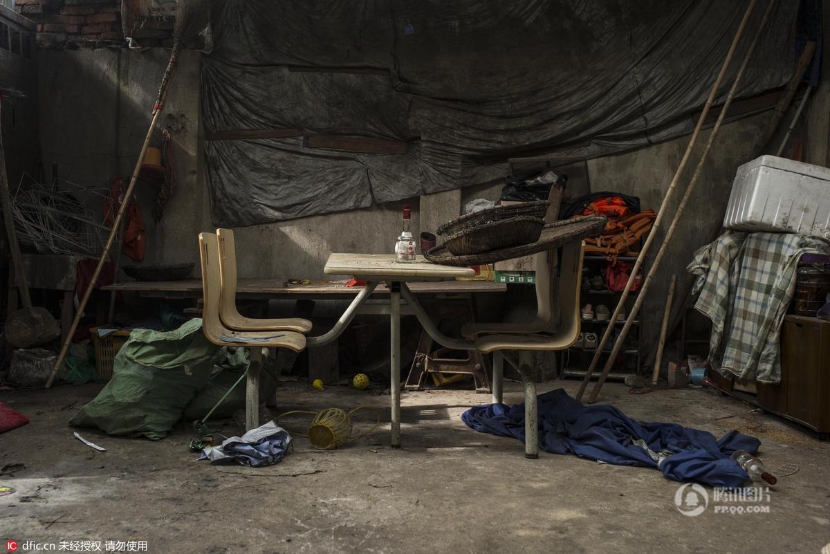 武汉搬迁现场现"忠鸡" 呆在主人家前久不离开(图)