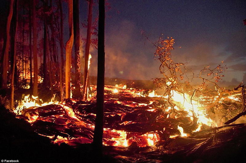 辛格逊(kawika singson)在熔岩之间拍摄了在火山岩浆吞噬整个森林前