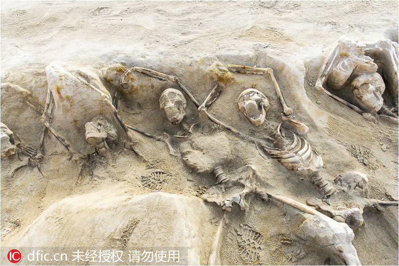 组图:希腊发现三千年前墓穴 80名年轻男子被捆