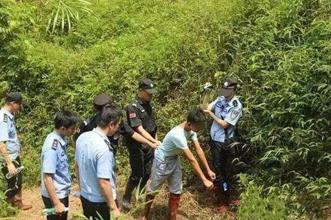 文章配图