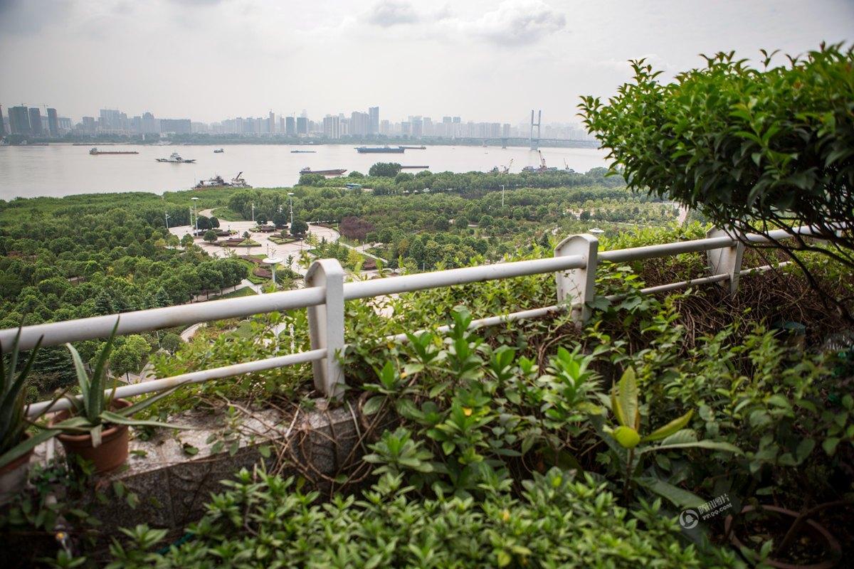 武汉老人花十年造私人“空中花园” 可见江景(图)