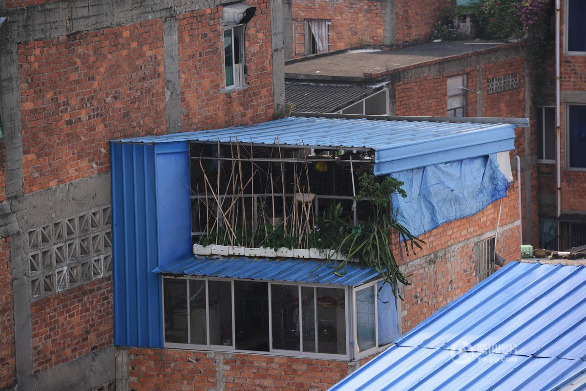 广西南宁现大量空中"鸟笼"房 都是铁皮加盖