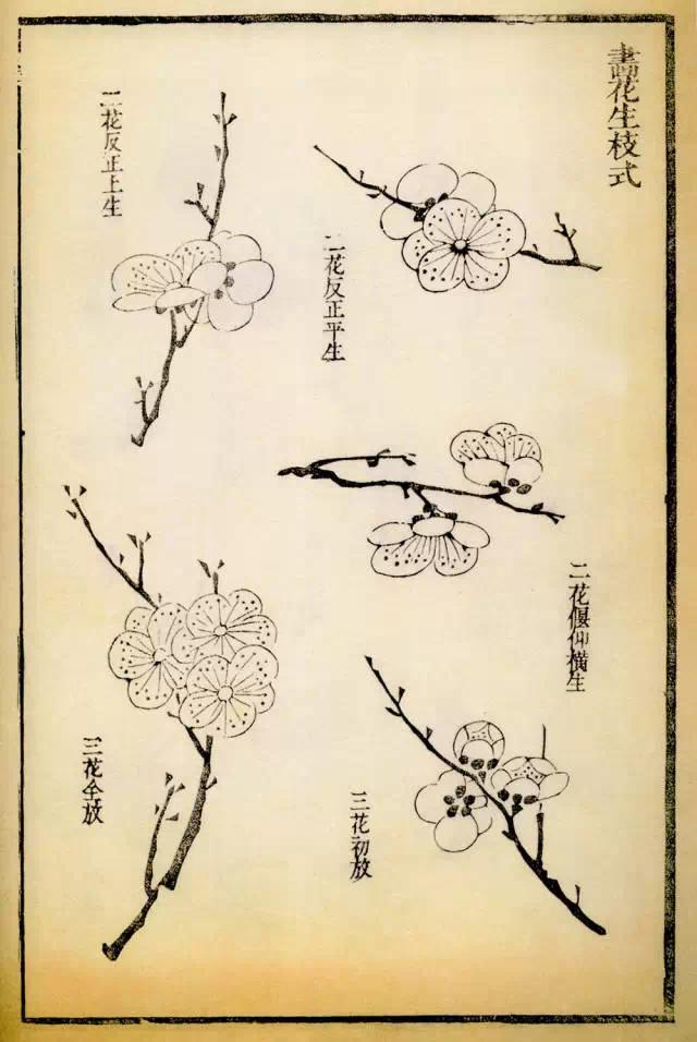 《芥子园画谱》教你画梅花