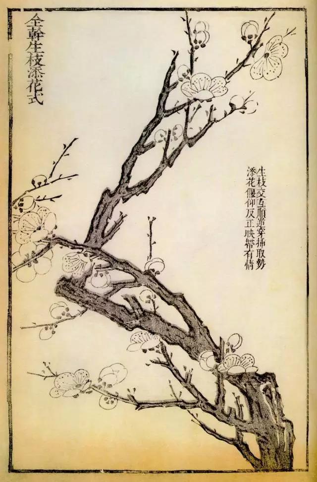 《芥子园画谱》教你画梅花