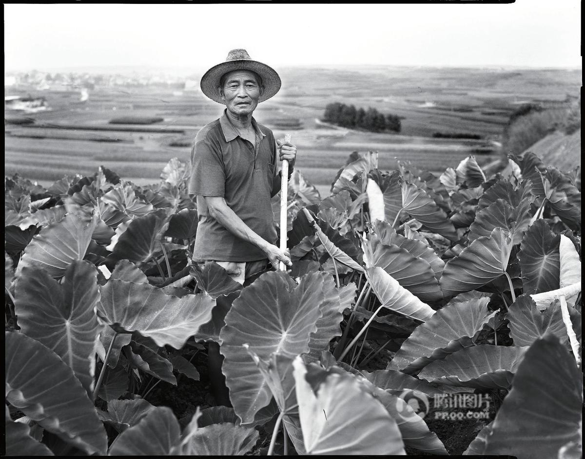 摄影师拍摄胶东农村的老年人 记录父亲的村庄(图)