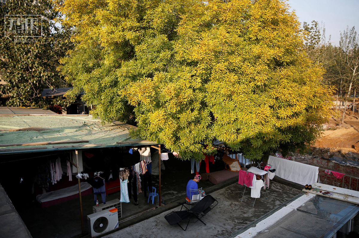 北京“癌症旅馆”：为了活命怎样都行(组图)