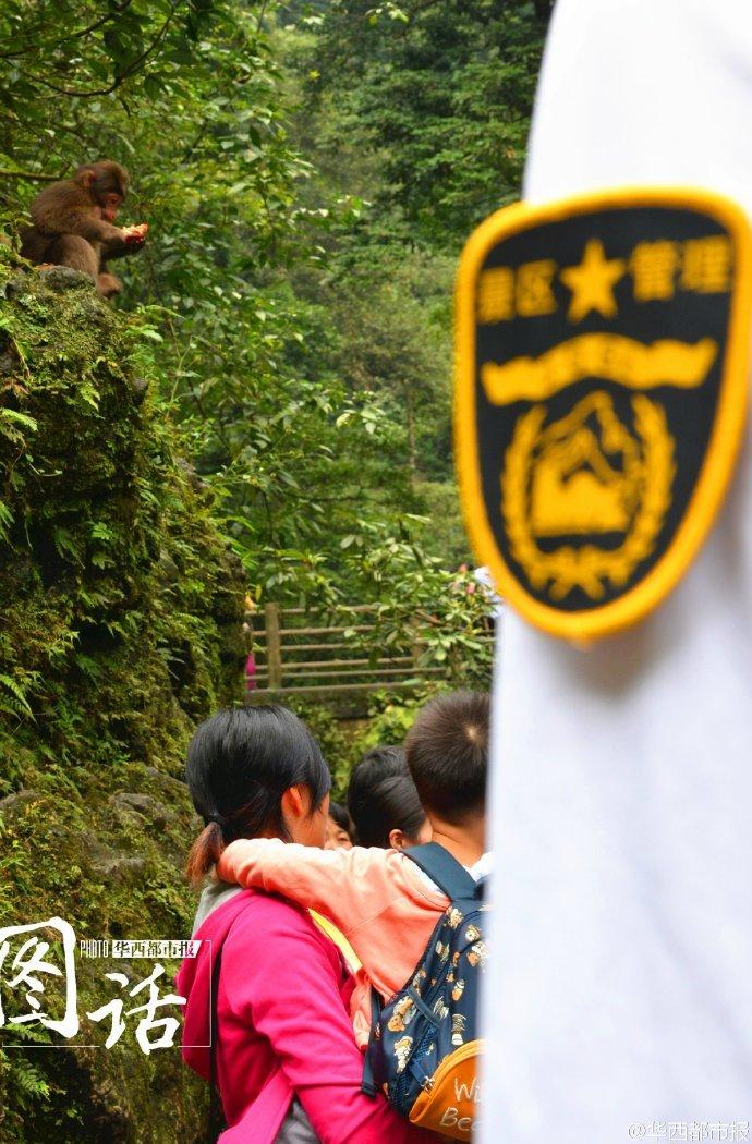 防止“大师兄”闹事 峨眉山猴倌手拿弹弓管猴(图)