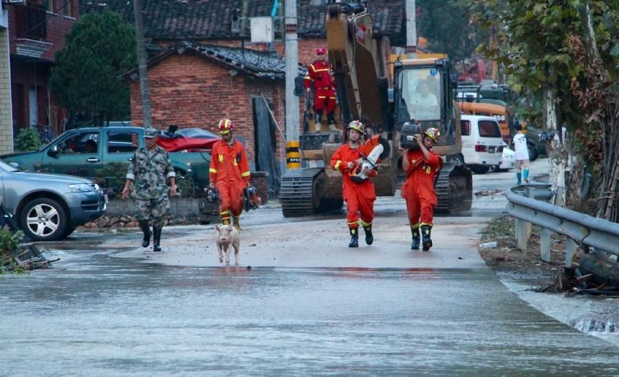 浙江遂昌滑坡现场：小猪为救援人员&quot;带路&quot;(组图)