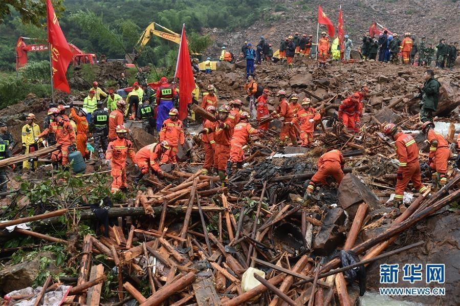 浙江遂昌滑坡现场：小猪为救援人员&quot;带路&quot;(组图)