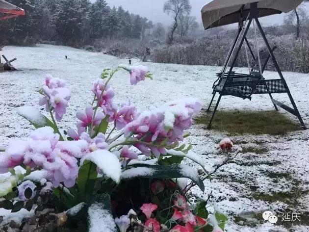 北京首场雪降落延庆海坨山 呈&quot;海坨戴雪&quot;景观(图)