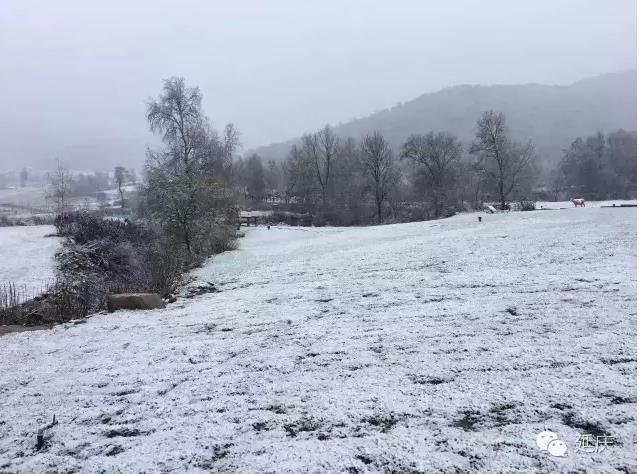 北京首场雪降落延庆海坨山 呈&quot;海坨戴雪&quot;景观(图)