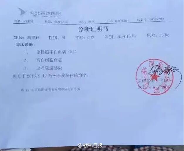 刚上小学10多天,于9月11日在榆林二院诊断为急性白血病,后辗转在河北